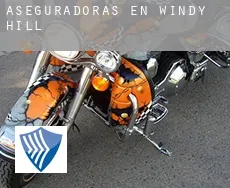 Aseguradoras en  Windy Hill