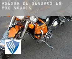 Asesor de seguros en Moc-Souris