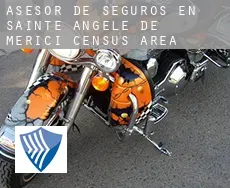 Asesor de seguros en  Sainte-Angèle-de-Mérici (census area)