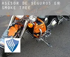 Asesor de seguros en  Smoke Tree