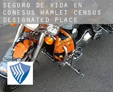 Seguro de vida en  Conesus Hamlet