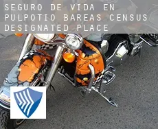 Seguro de vida en  Pulpotio Bareas