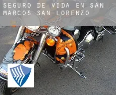 Seguro de vida en  Municipio de San Lorenzo (San Marcos)