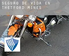 Seguro de vida en  Thetford-Mines