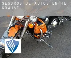 Seguros de autos en  Te Kowhai