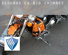 Seguros en  Big Chimney