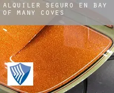 Alquiler seguro en  Bay of Many Coves