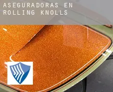 Aseguradoras en  Rolling Knolls