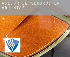 Asesor de seguros en  Adjuntas