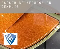 Asesor de seguros en  Cempuis