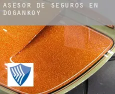 Asesor de seguros en  Doğanköy