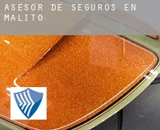 Asesor de seguros en  Malito