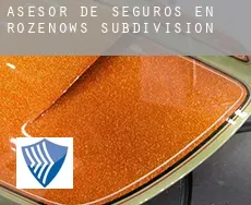 Asesor de seguros en  Rozenow's Subdivision
