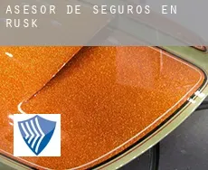 Asesor de seguros en Rusk