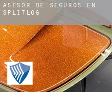 Asesor de seguros en  Splitlog
