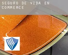 Seguro de vida en Commerce