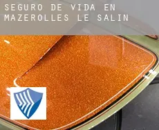 Seguro de vida en Mazerolles-le-Salin