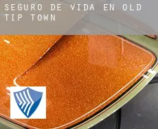 Seguro de vida en  Old Tip Town