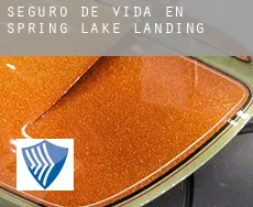 Seguro de vida en Spring Lake Landing