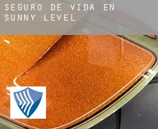 Seguro de vida en  Sunny Level