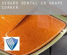 Seguro dental en  Grape Corner