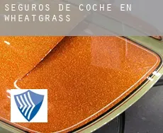 Seguros de coche en  Wheatgrass