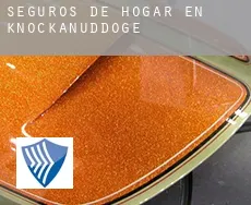 Seguros de hogar en  Knockanuddoge