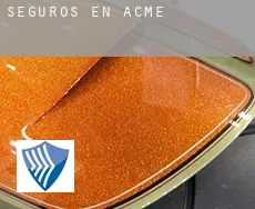 Seguros en  Acme