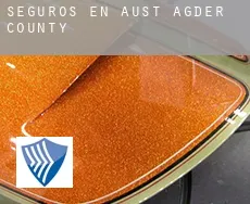 Seguros en  Aust-Agder county
