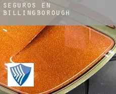 Seguros en Billingborough