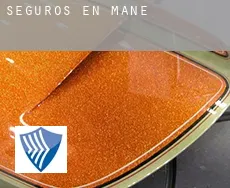 Seguros en  Mane