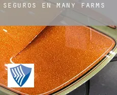 Seguros en  Many Farms