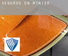 Seguros en  Minier