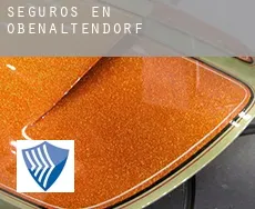 Seguros en  Obenaltendorf