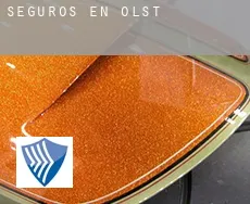 Seguros en  Olst
