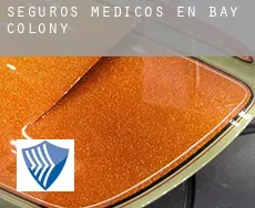 Seguros medicos en  Bay Colony
