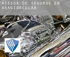 Asesor de seguros en  Aşağıokçular