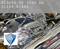 Seguro de vida en  Clear Ridge