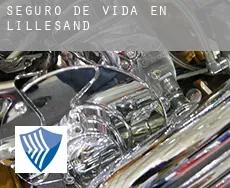 Seguro de vida en  Lillesand