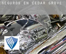 Seguros en  Cedar Grove