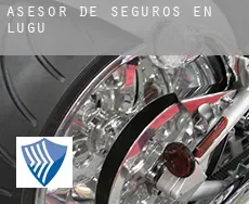 Asesor de seguros en  Lugu