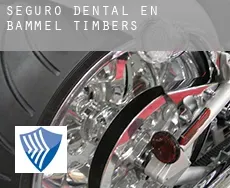Seguro dental en Bammel Timbers