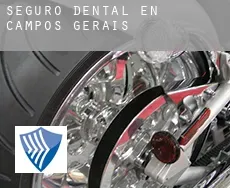 Seguro dental en  Campos Gerais