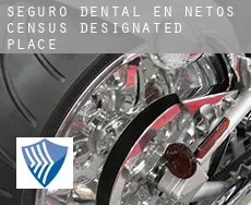 Seguro dental en Netos