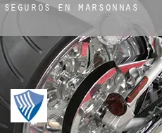 Seguros en  Marsonnas