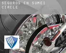 Seguros en  Sumei Circle