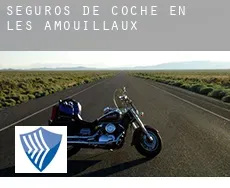 Seguros de coche en  Les Amouillaux