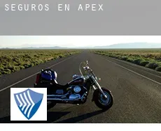 Seguros en  Apex