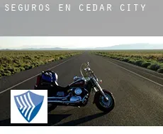 Seguros en  Cedar City