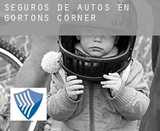 Seguros de autos en  Gortons Corner
